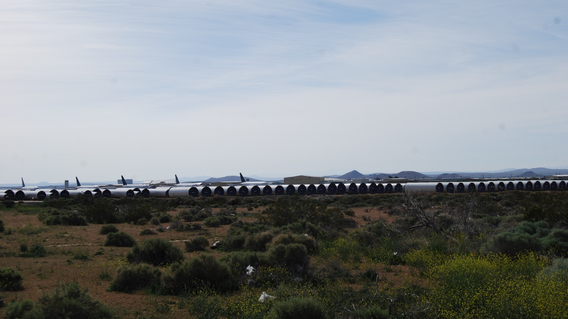 DSC_0190.JPG