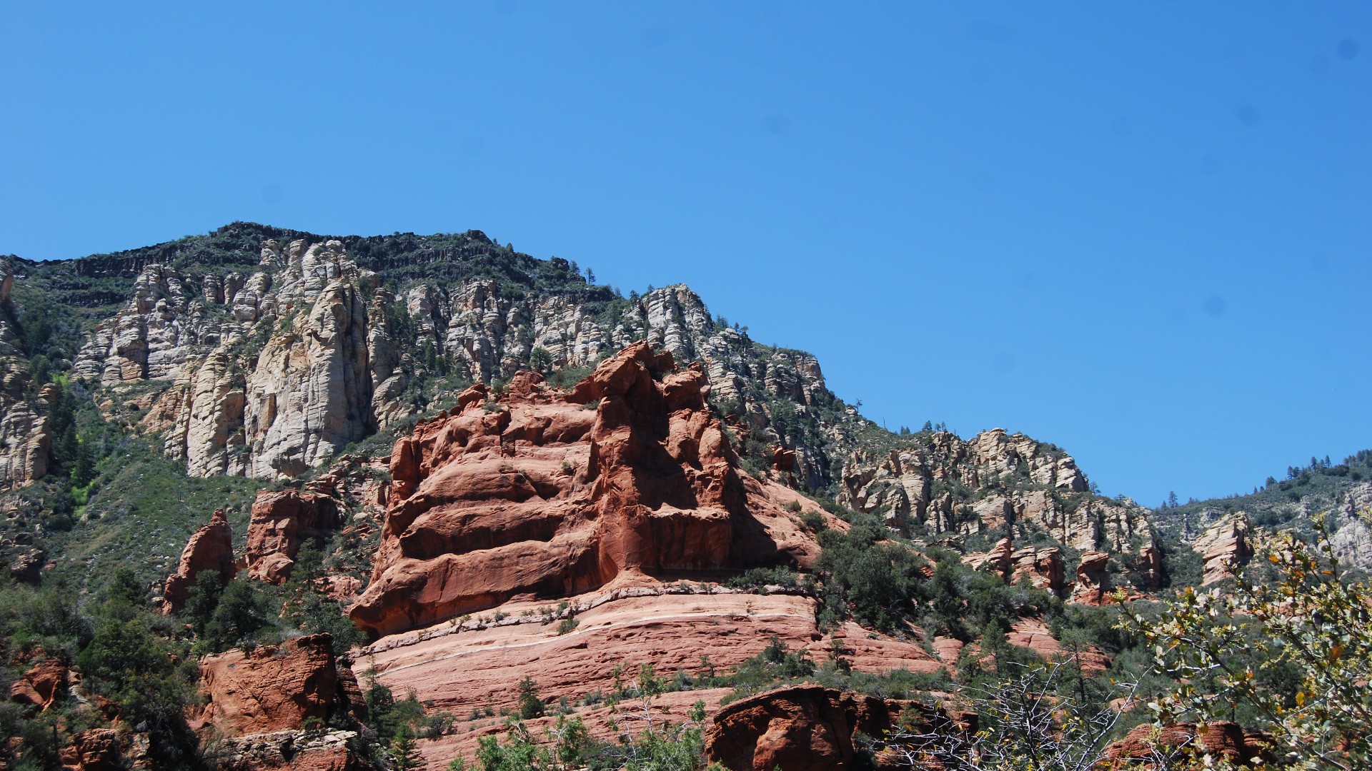 DSC_0395.JPG