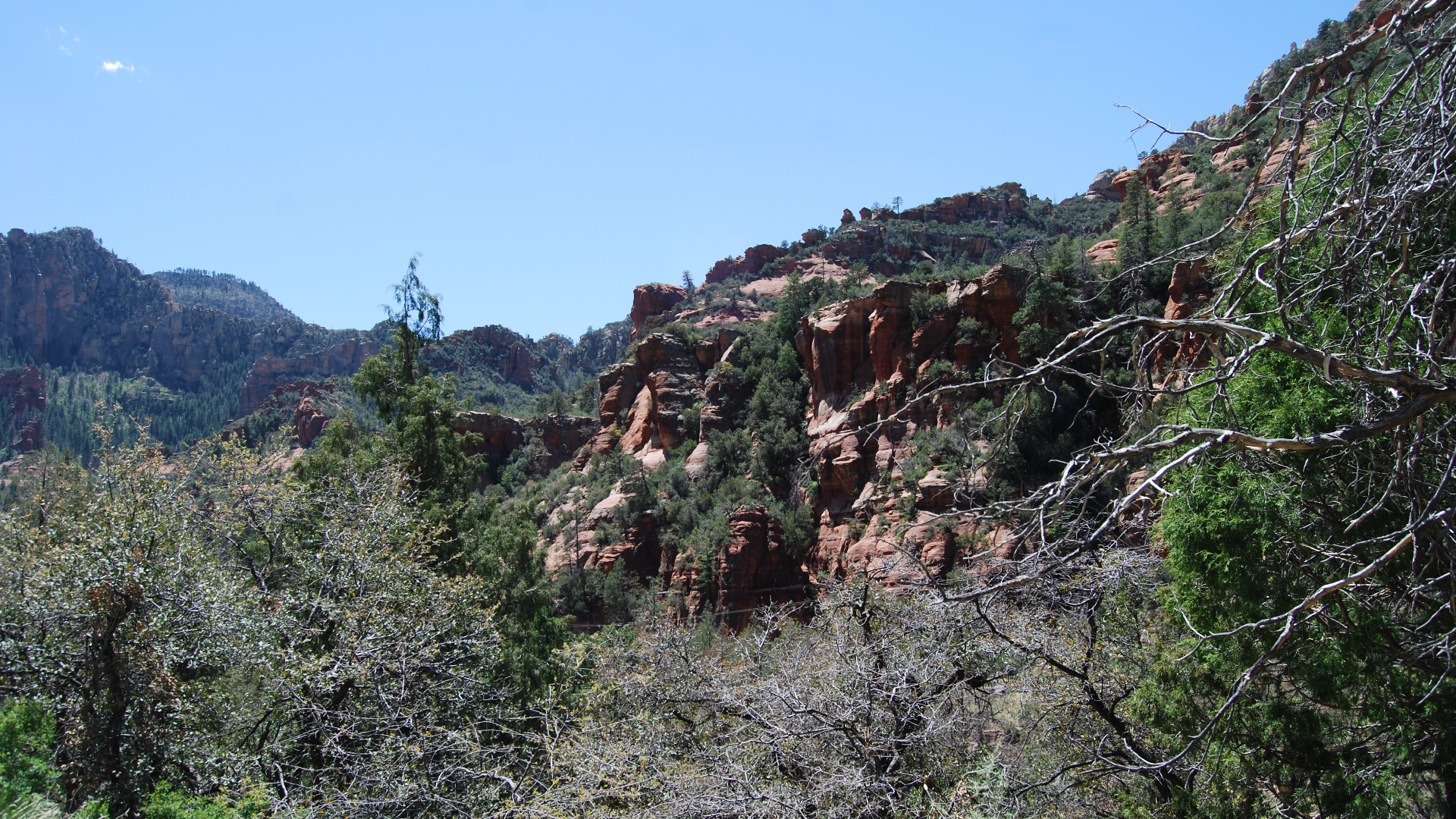 DSC_0396.JPG