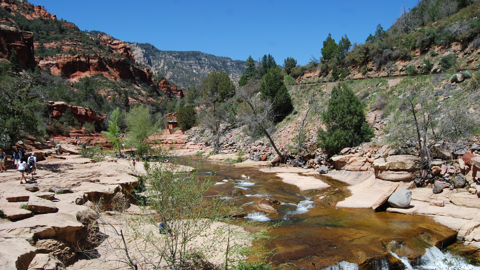 DSC_0407.JPG