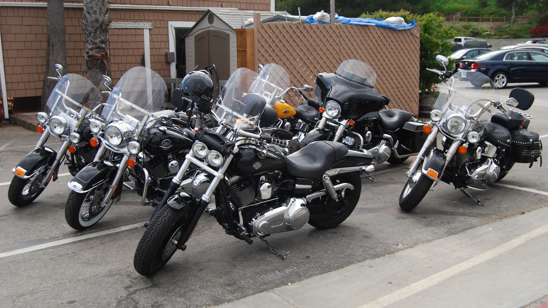DSC_0048.JPG