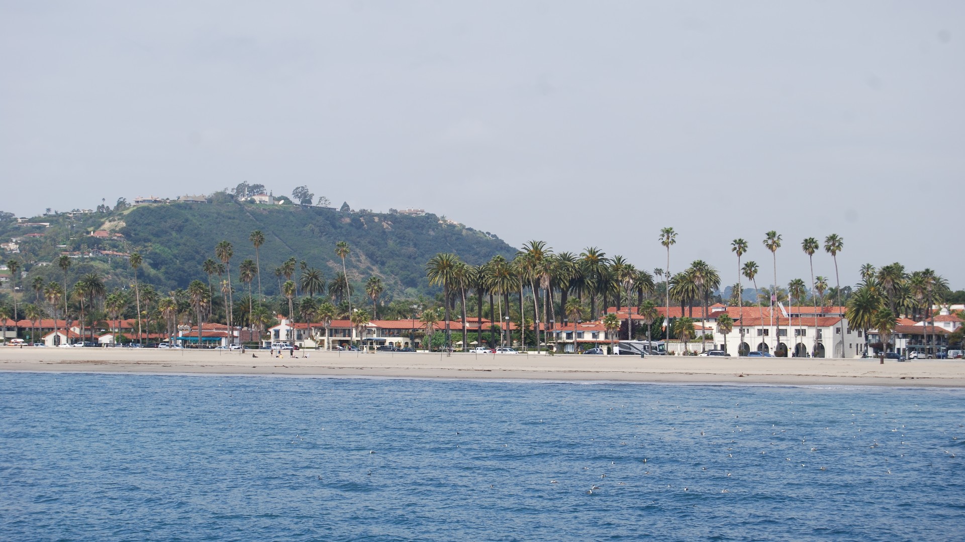 DSC_0074.JPG