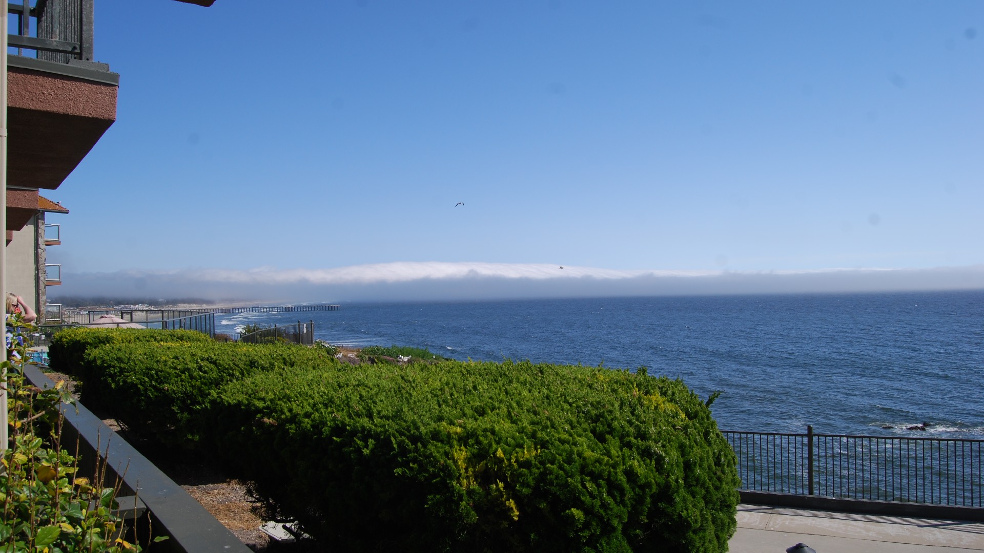 DSC_0090.JPG