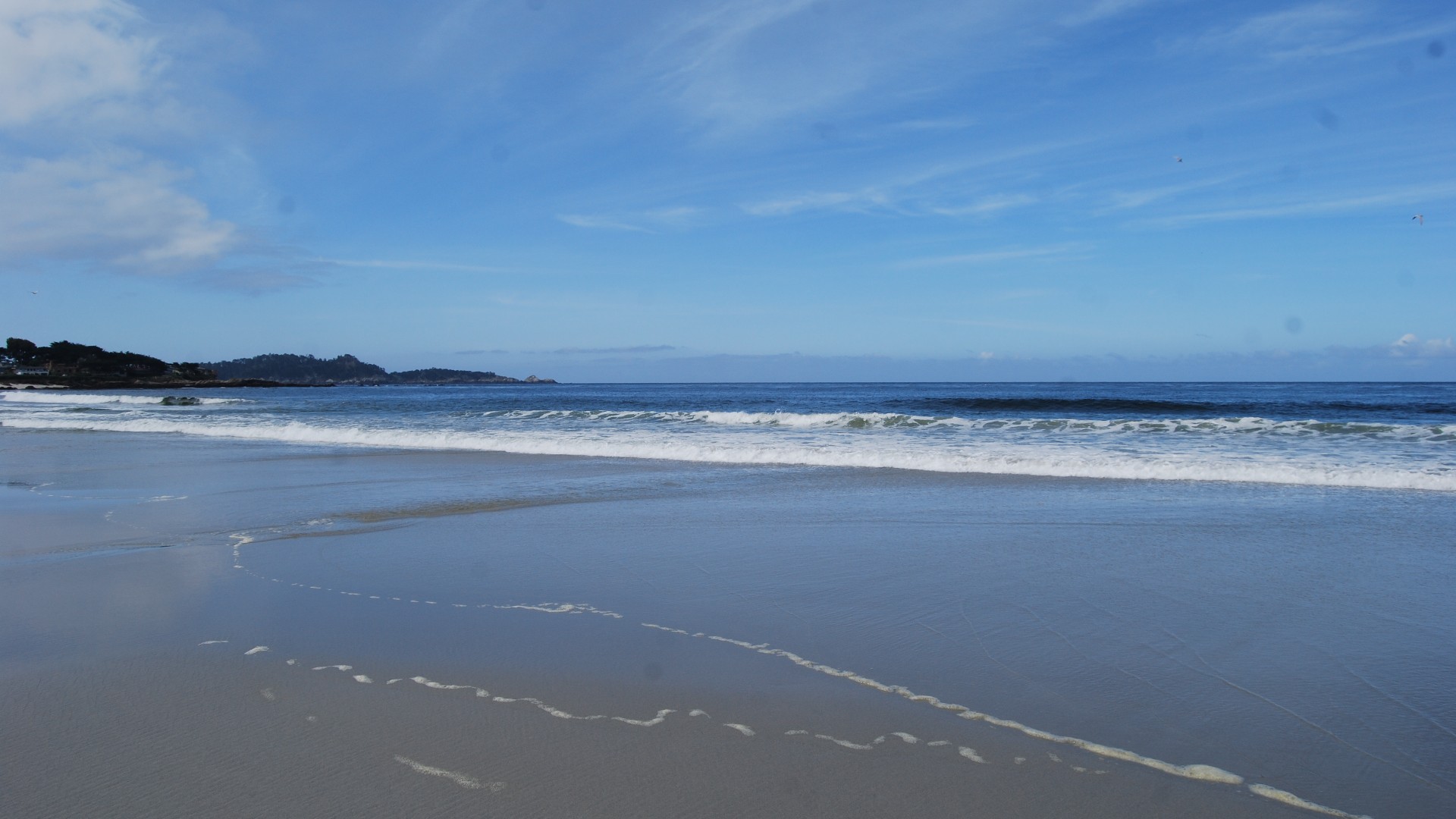 DSC_0118.JPG