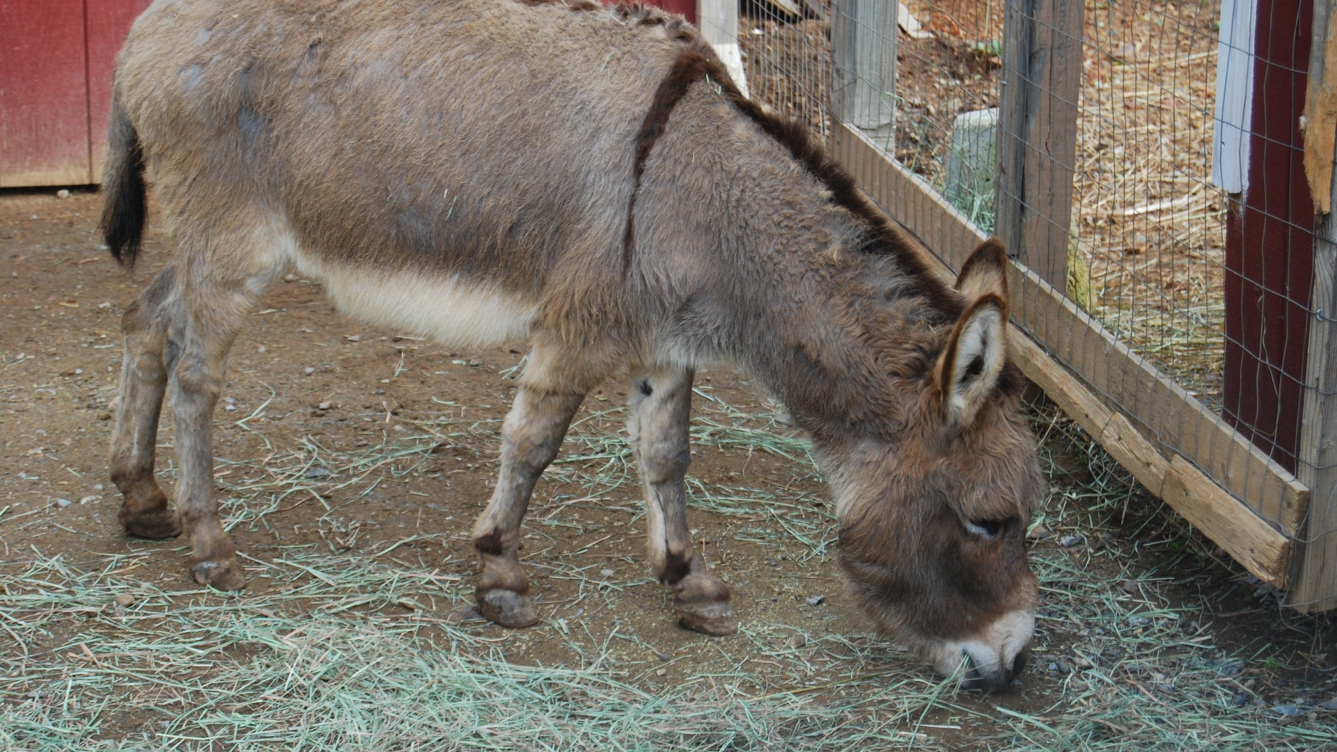 DSC_0161.JPG