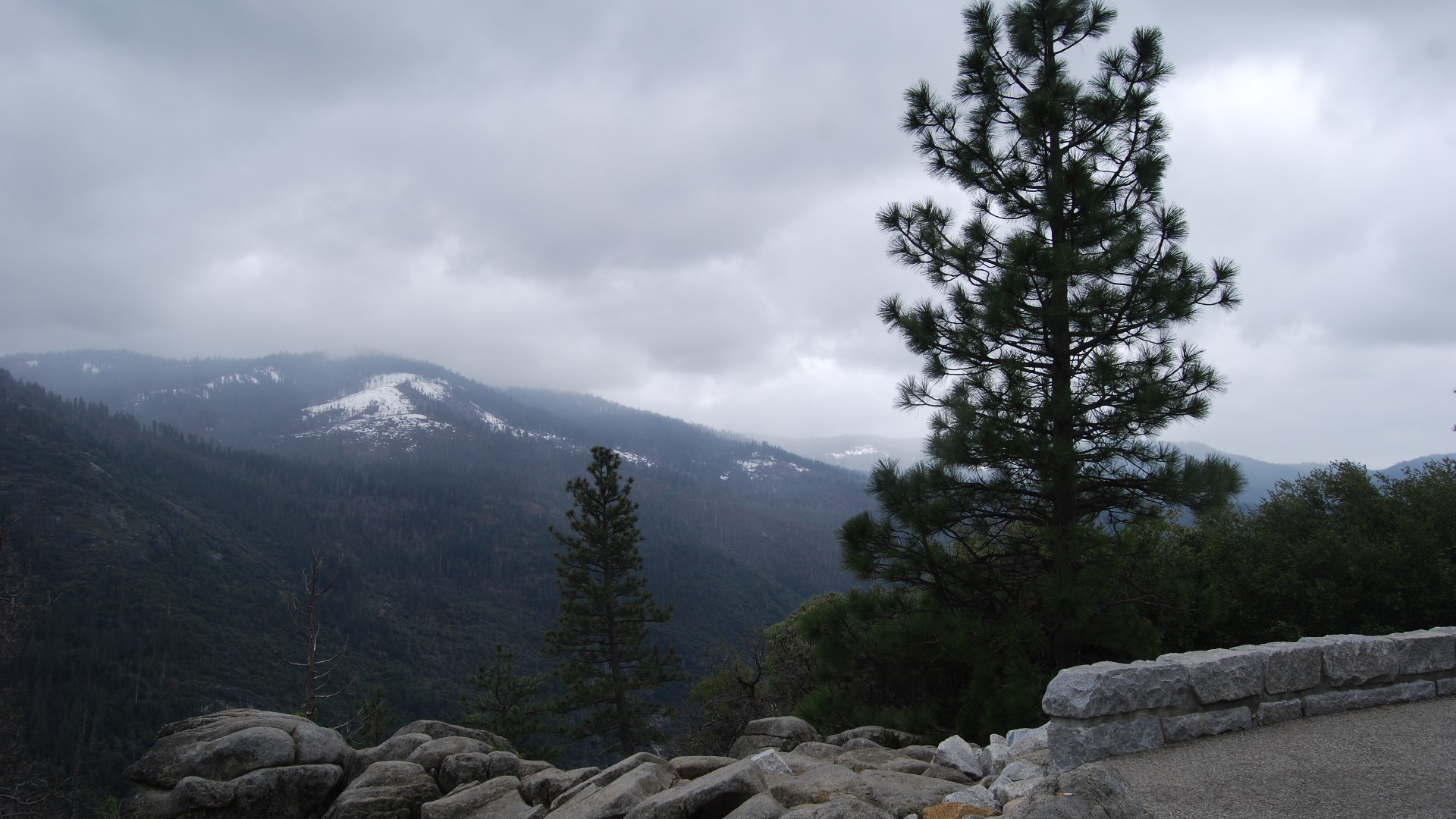 DSC_0165.JPG