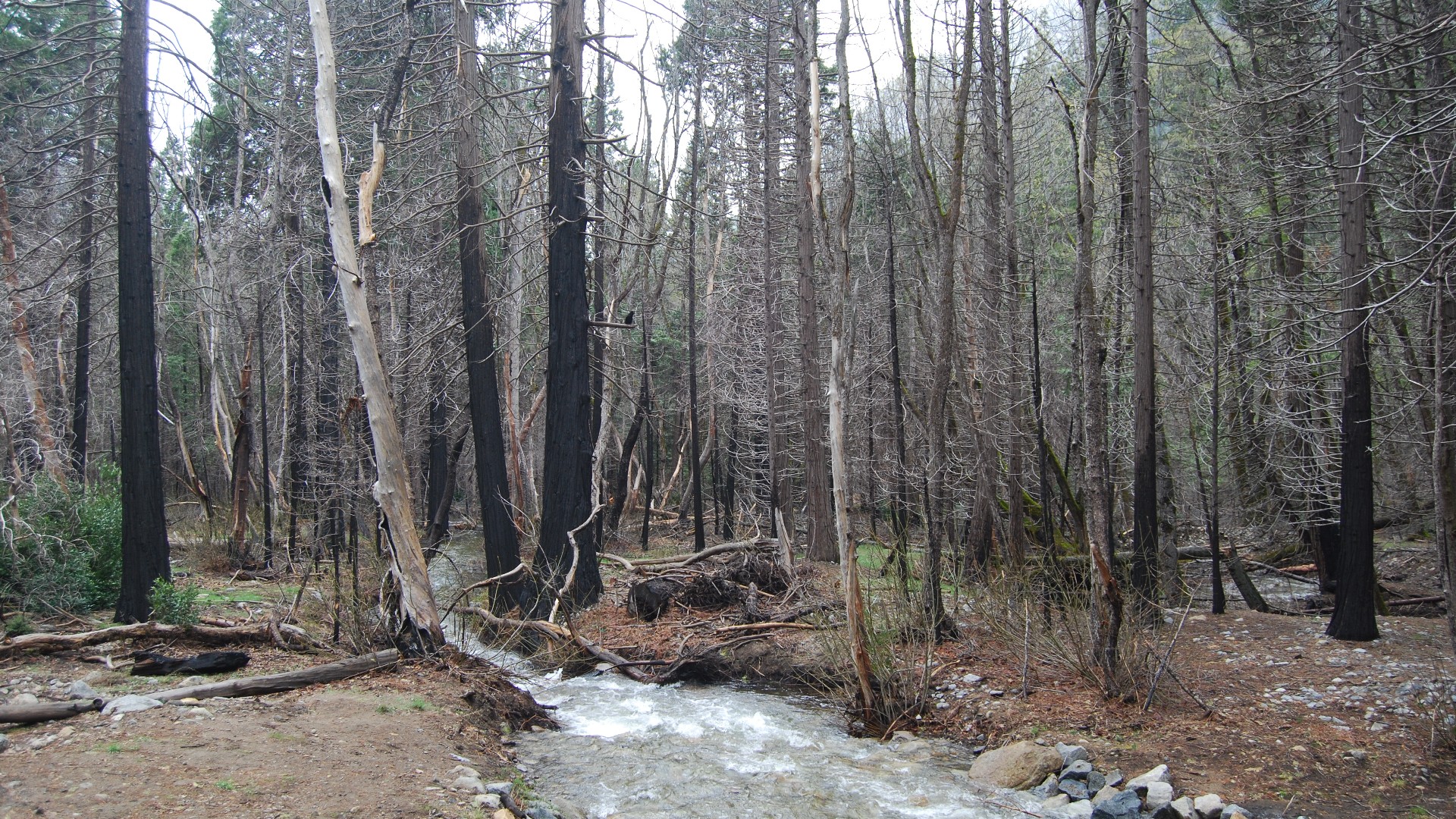 DSC_0167.JPG