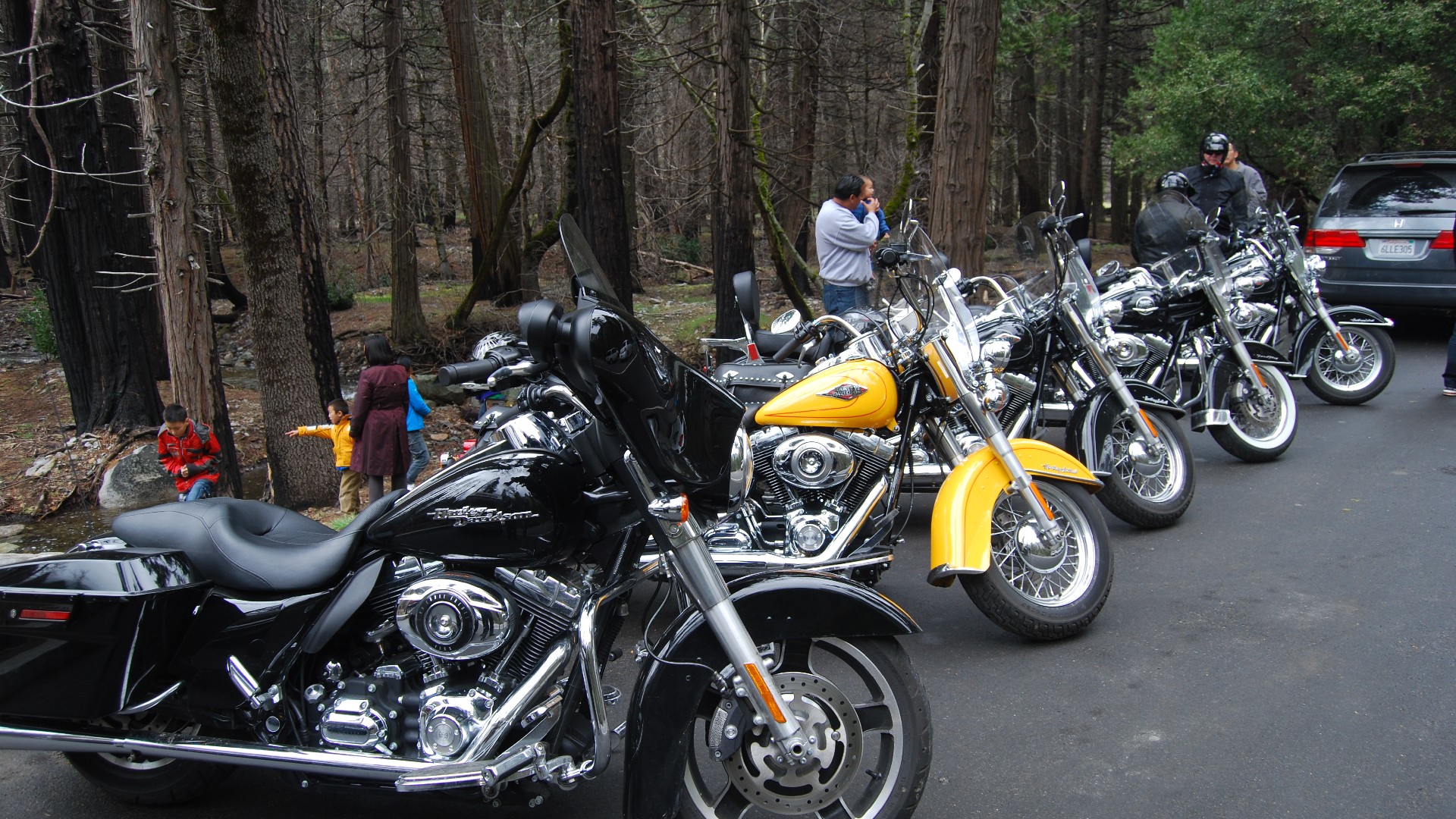 DSC_0169.JPG