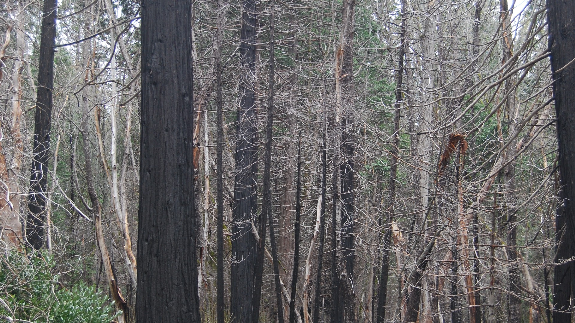 DSC_0170.JPG