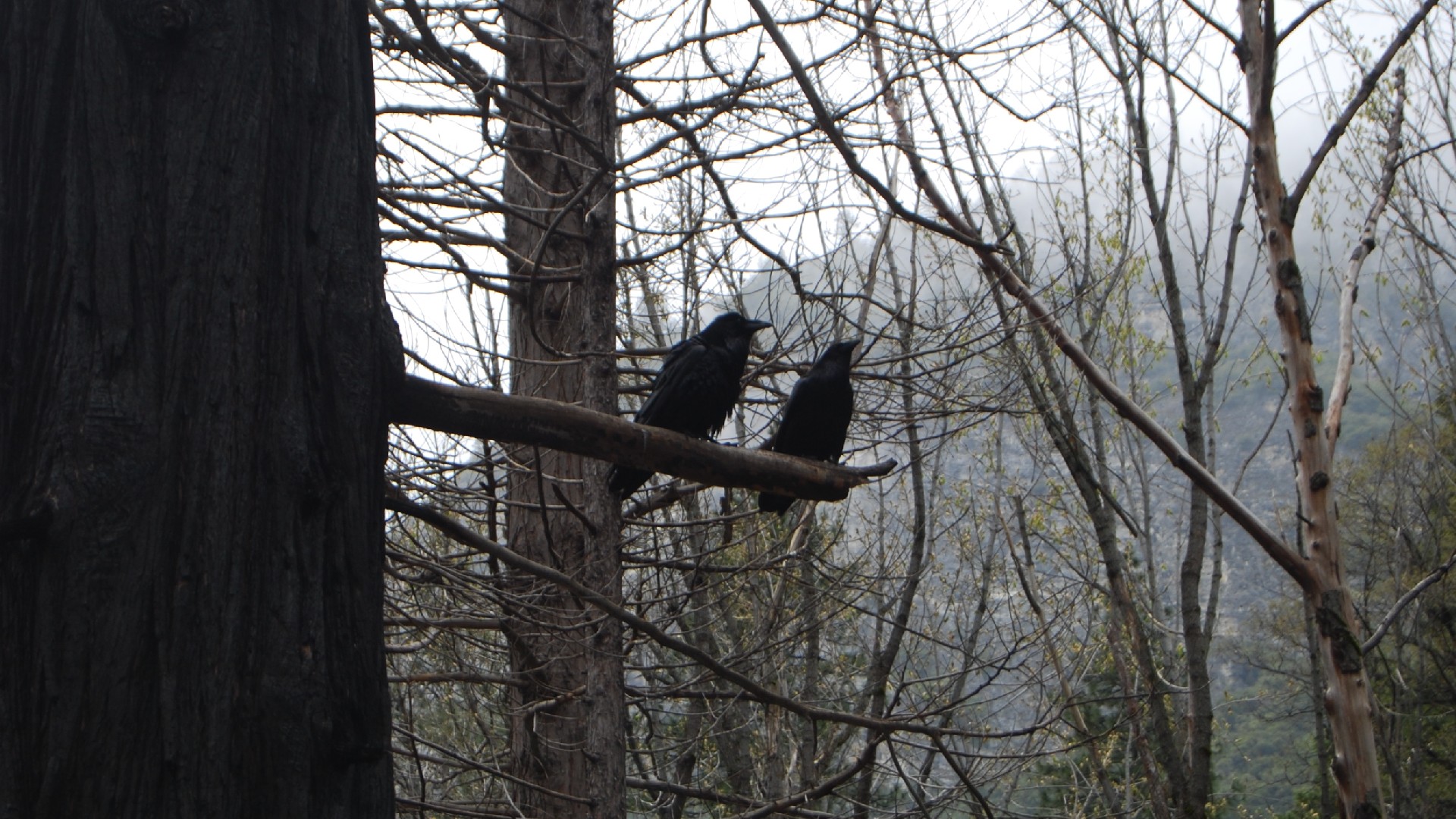 DSC_0171.JPG