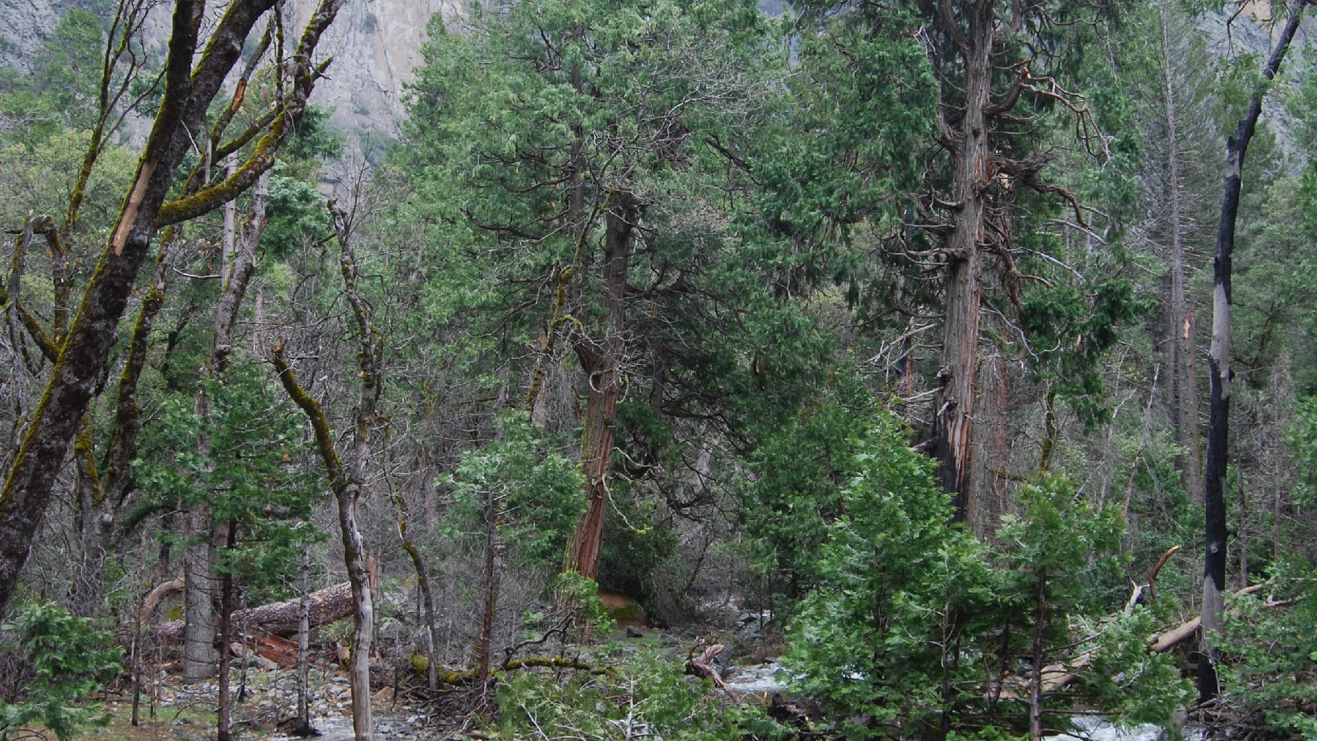 DSC_0174.JPG