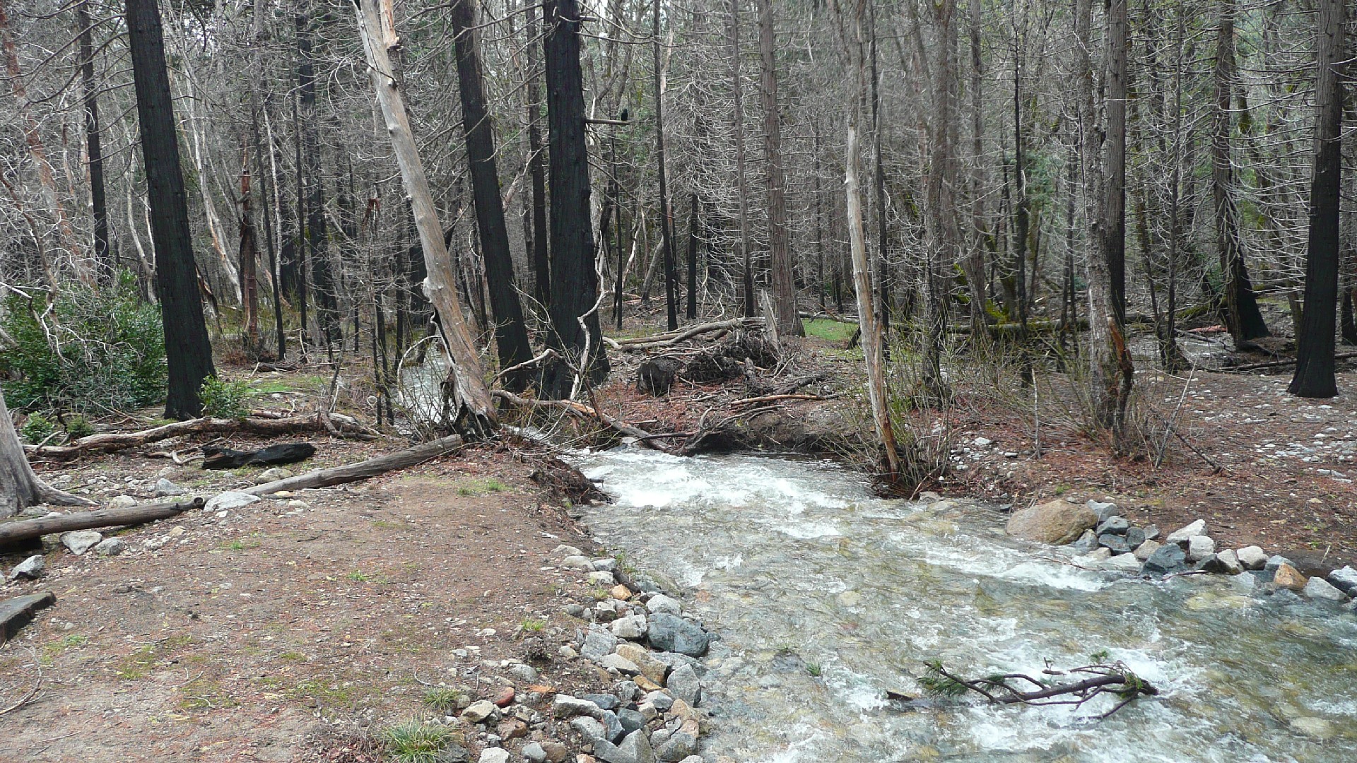 P1020075.JPG