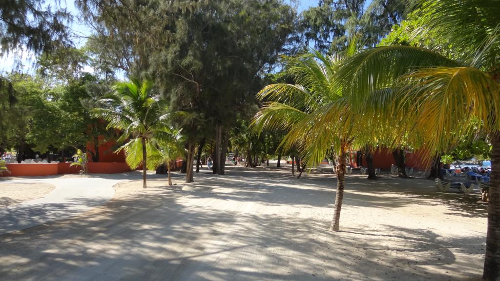 DSC06611.jpg