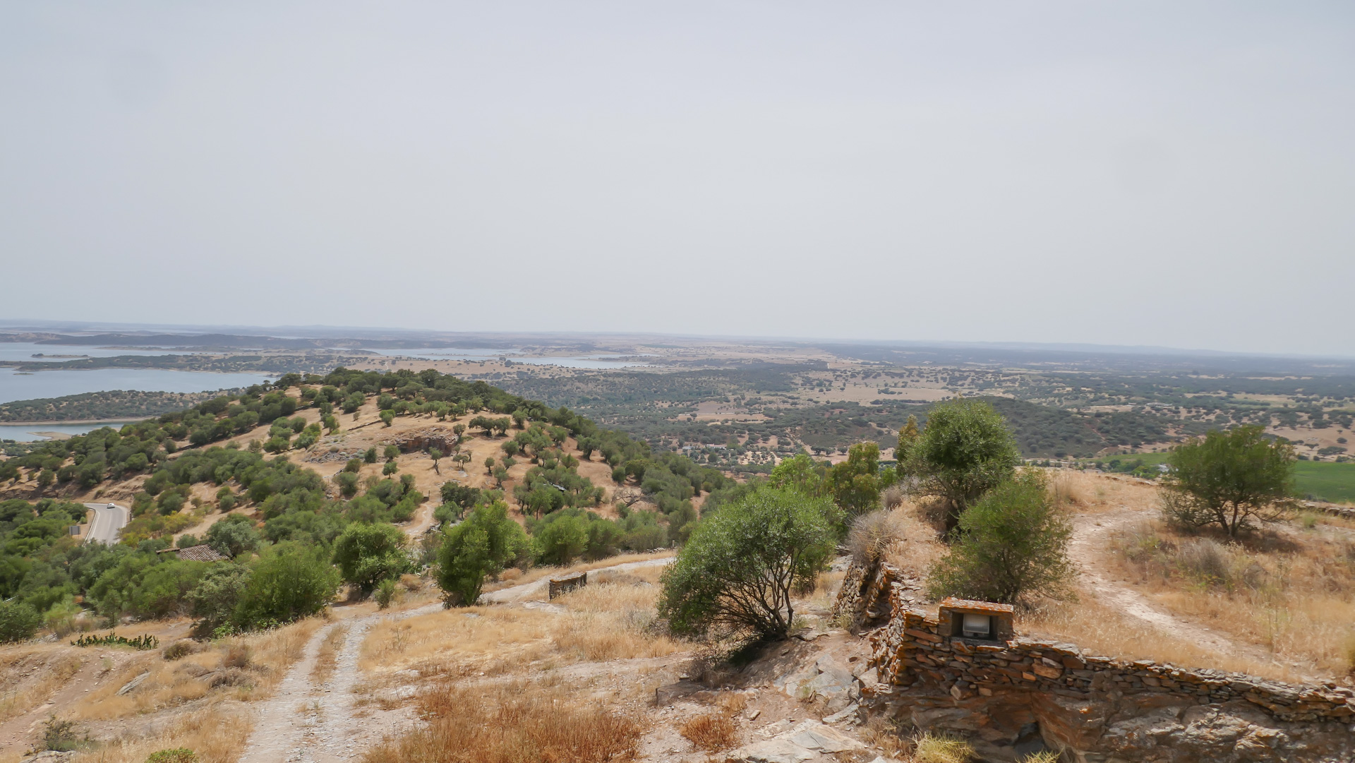 P1050872.jpg