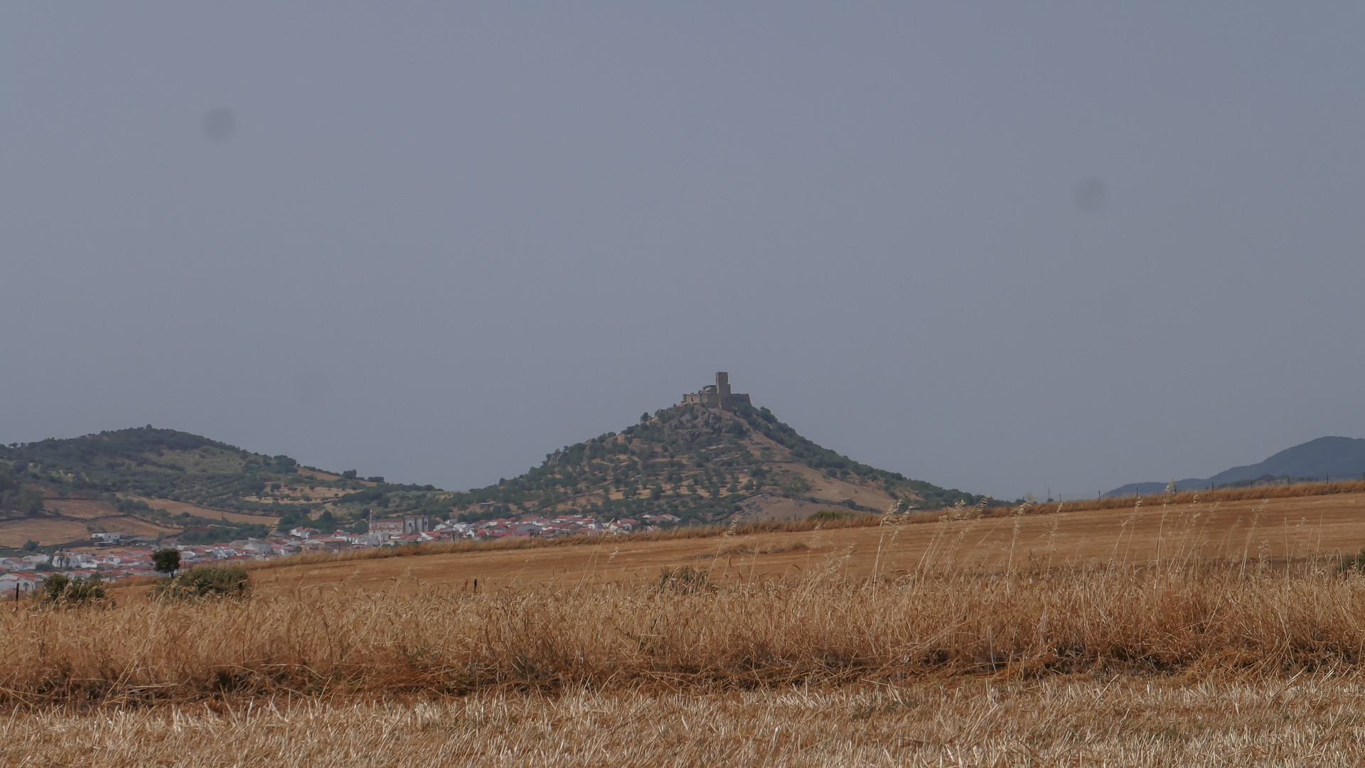 P1050873.jpg