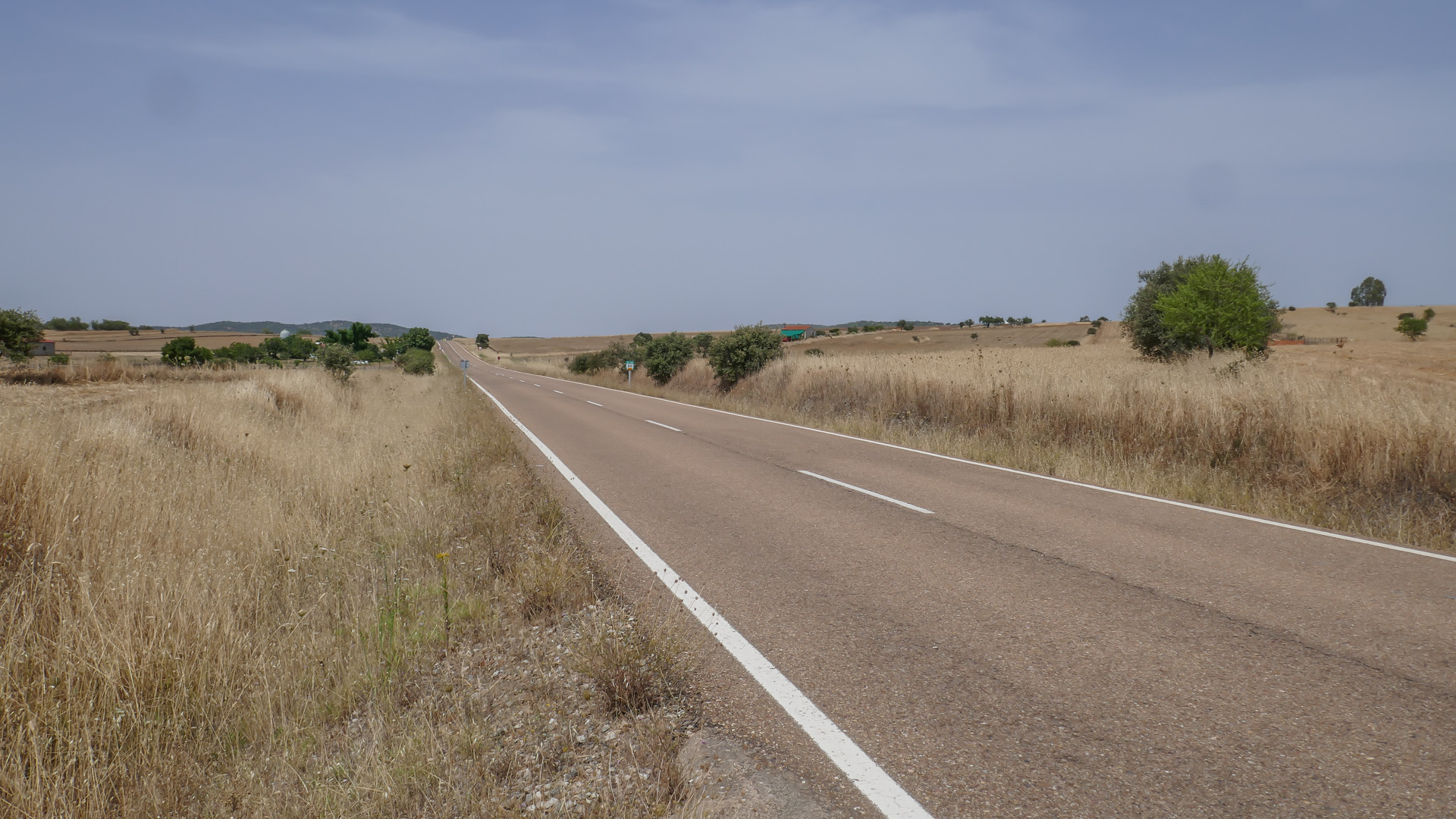 P1050874.jpg
