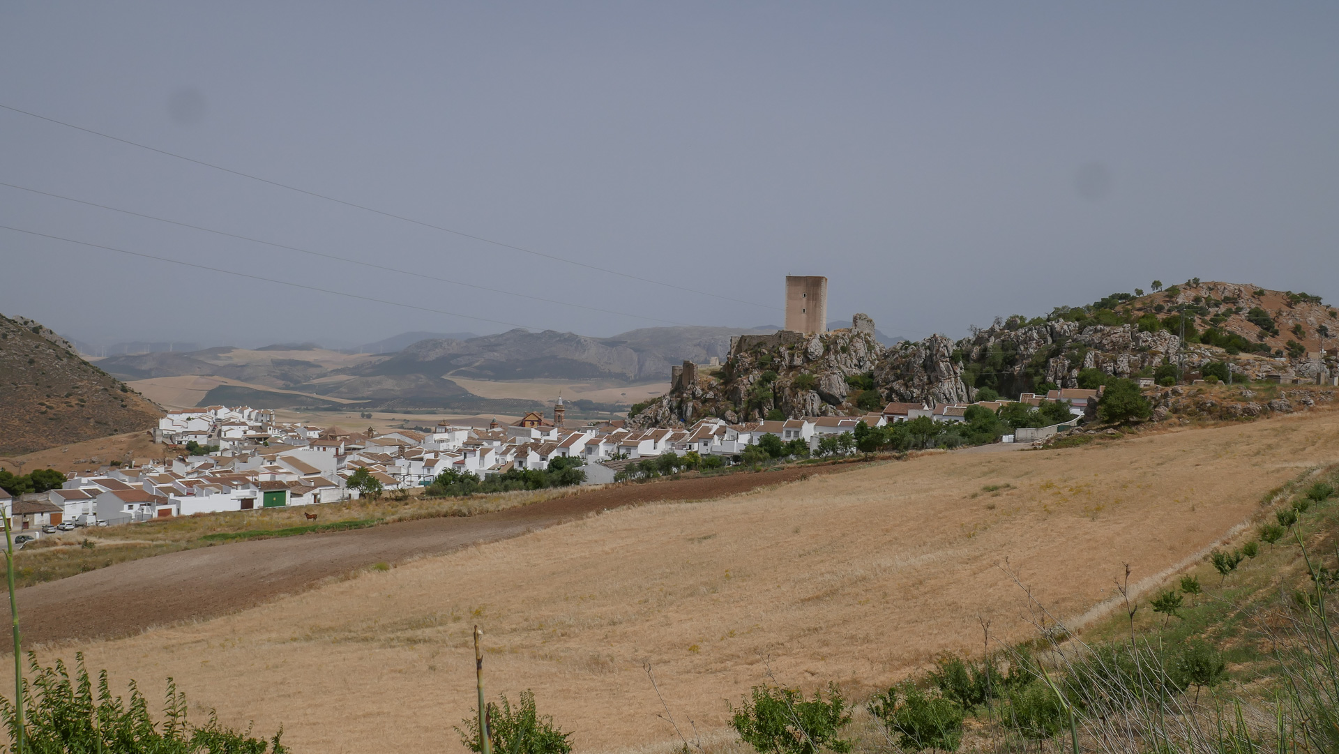 P1050899.jpg