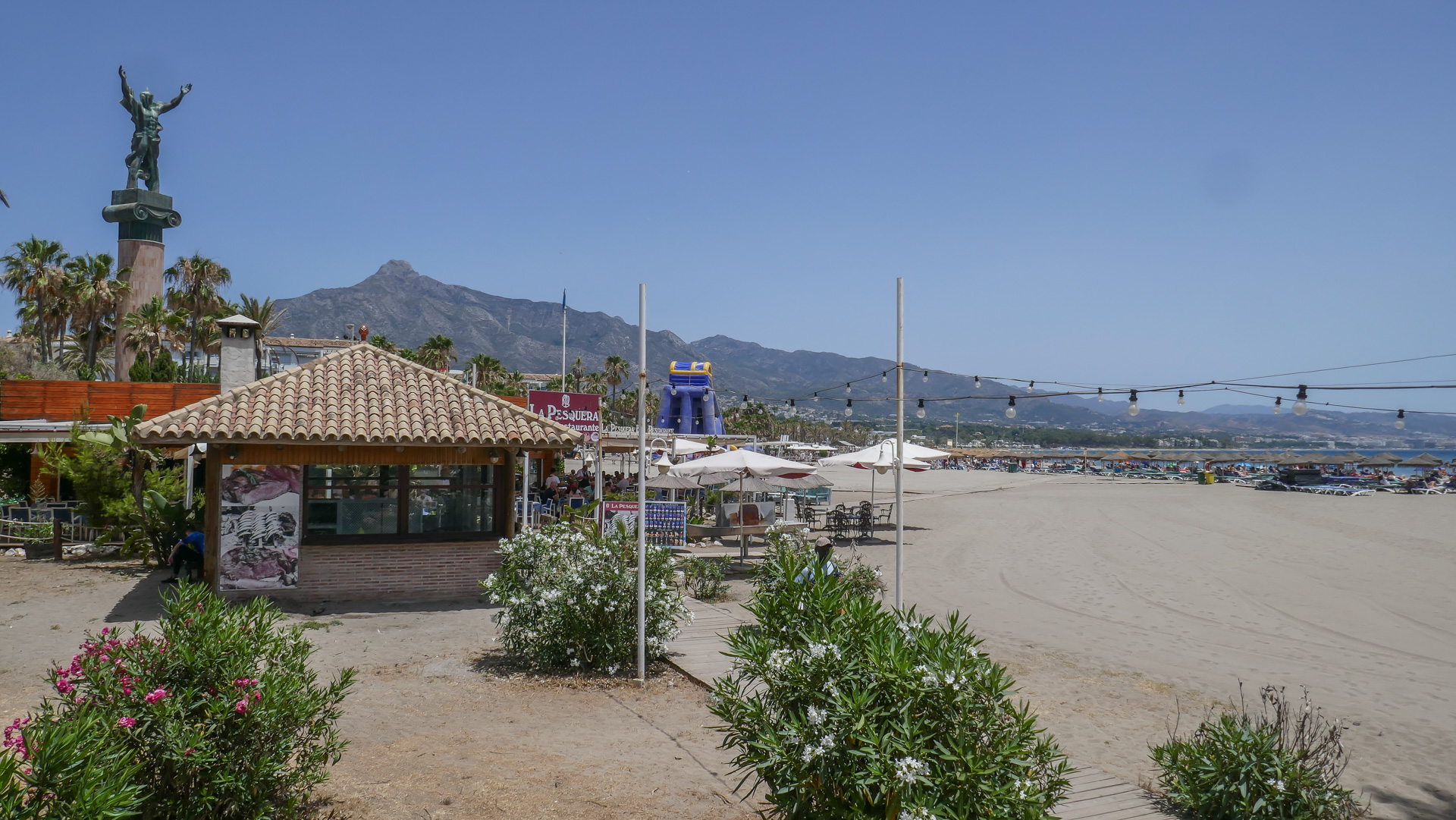 P1050932.jpg
