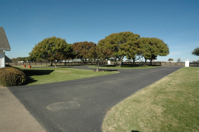 DSC_0010.JPG