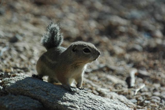 DSC_0053.JPG