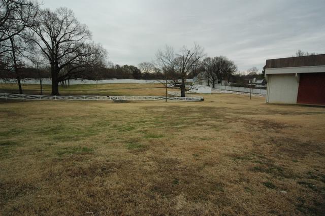 DSC_0042.JPG