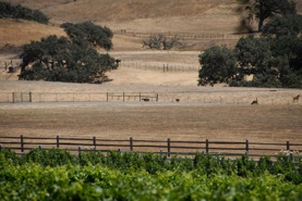 ATP_0078.jpg