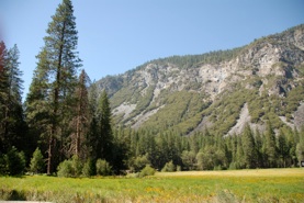 ATP_0158.jpg