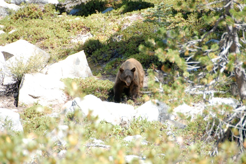 ATP_0187.jpg
