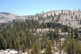 ATP_0192.jpg