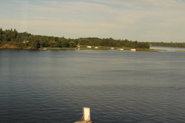 IMG_0767.jpg