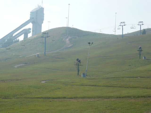 P1080194.jpg