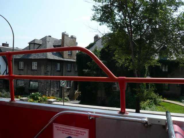 P1070956.jpg