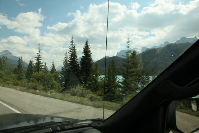 IMG_9526.jpg