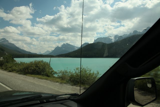 IMG_9527.jpg
