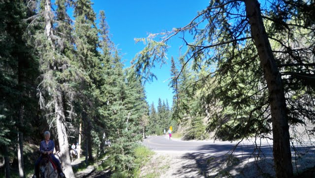 100_0643.jpg