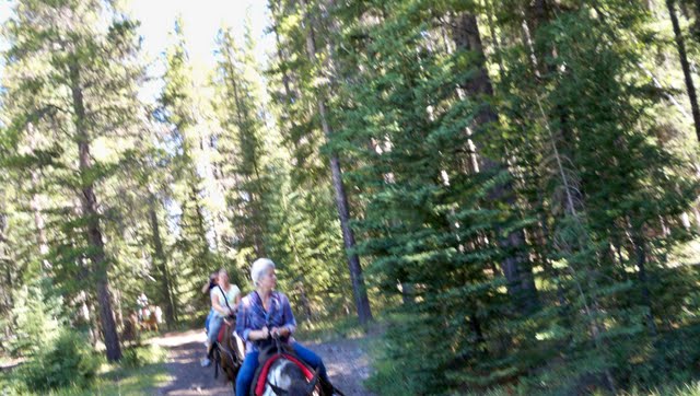 100_0647.jpg