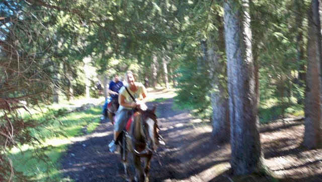 100_0649.jpg