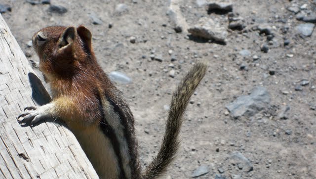100_0665.jpg