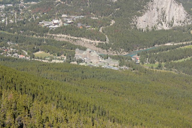 IMG_1001.jpg