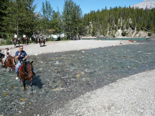 P1080331.jpg