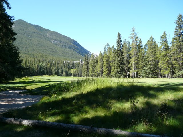P1080332.jpg