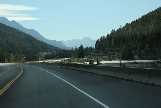 IMG_1040.jpg