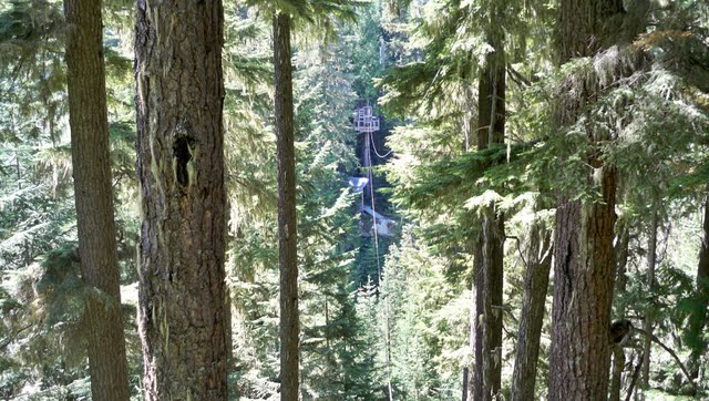 100_0736.jpg