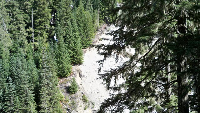 100_0739.jpg