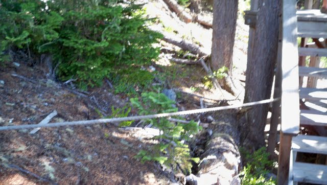 100_0748.jpg