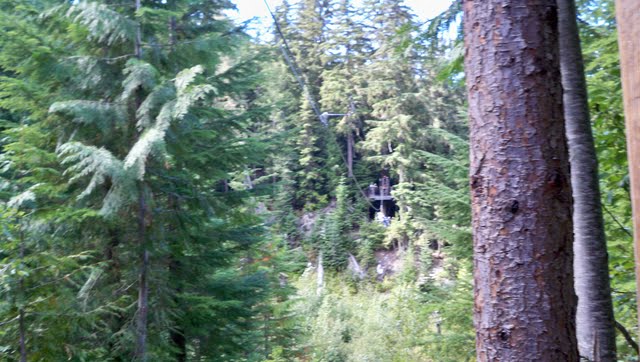 100_0754.jpg