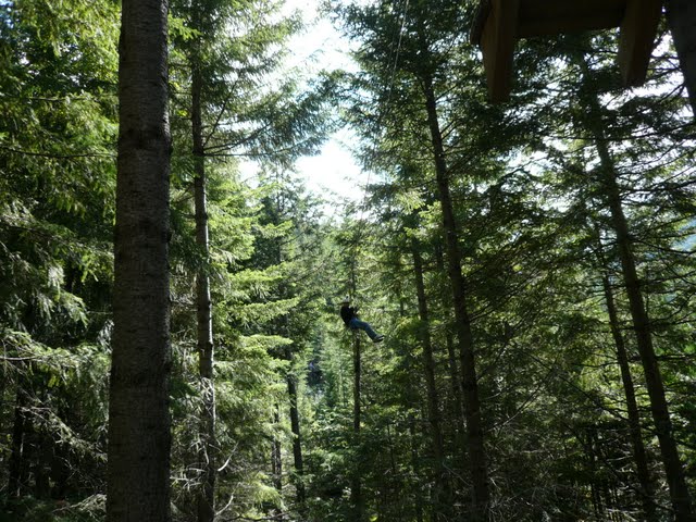 P1080407.jpg