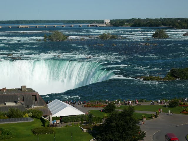 P1080024.jpg
