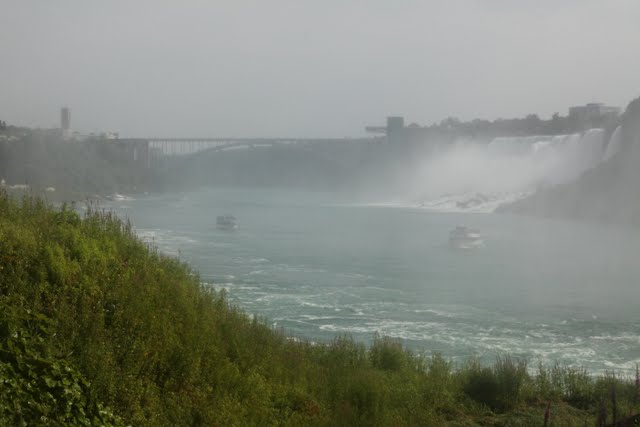 IMG_9020.jpg