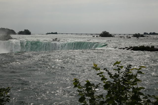 IMG_9023.jpg